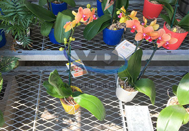 Flattened expanded metal